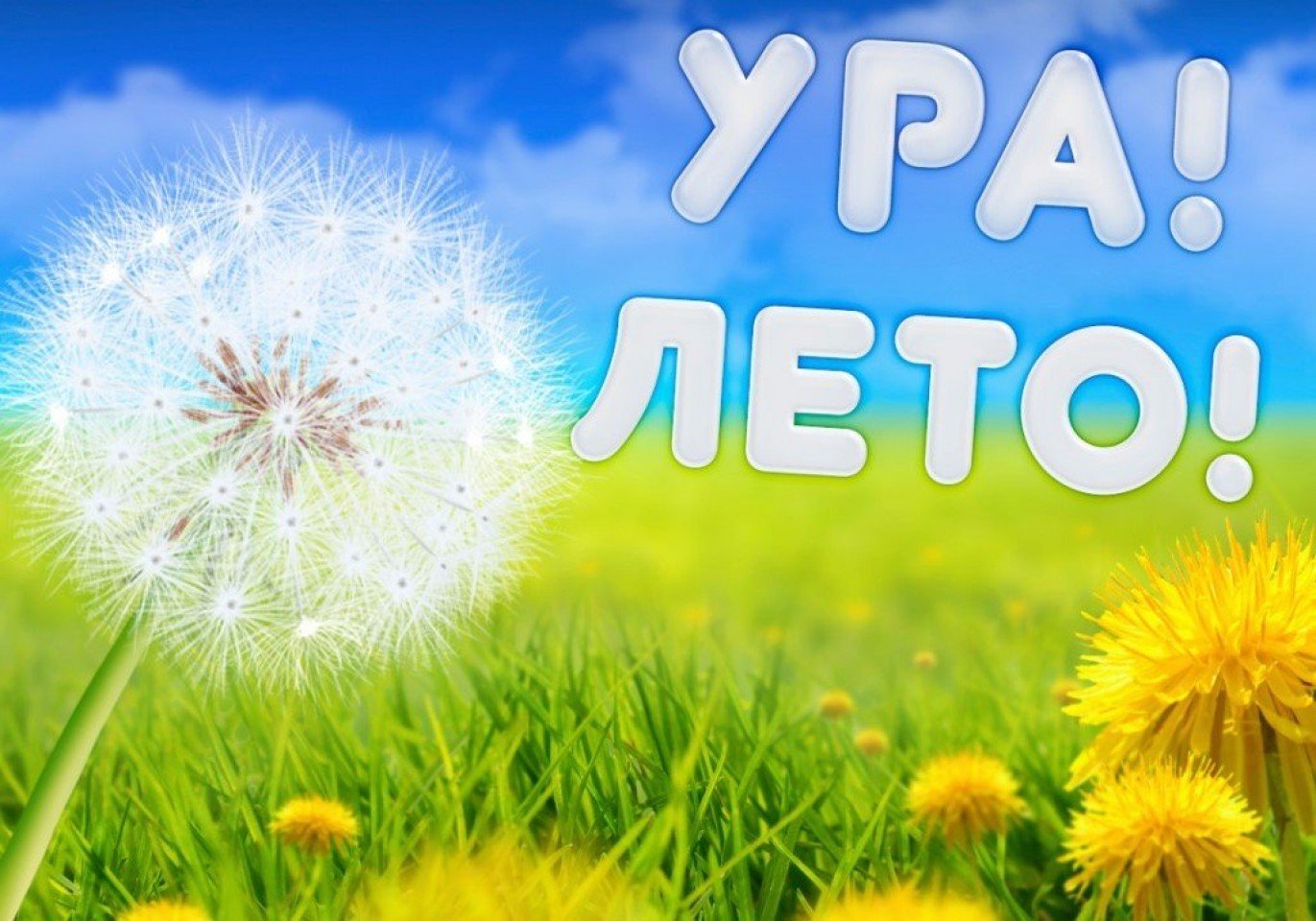 Отдых и оздоровление учащихся.